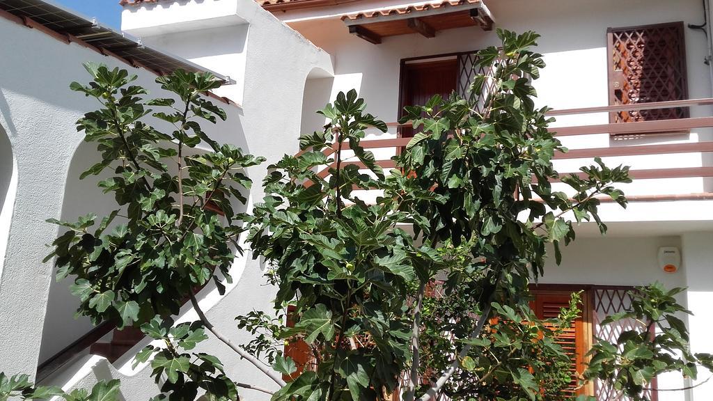 Villa Modus Vivendi Чинизи Екстериор снимка